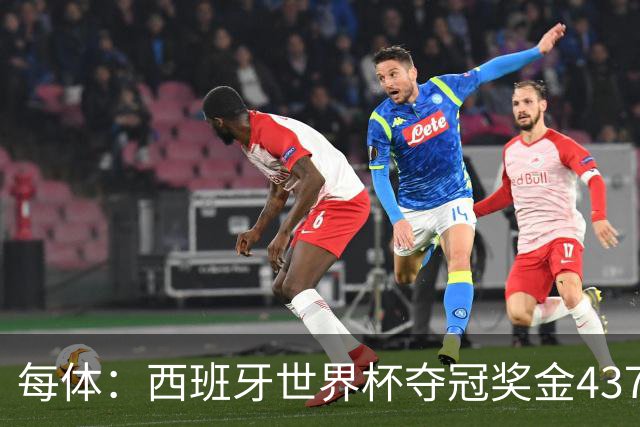 每体：西班牙世界杯夺冠奖金4370万欧元